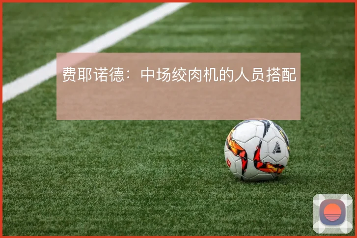 费耶诺德：中场绞肉机的人员搭配
