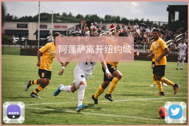 阿蓬萨离开纽约城